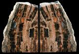 Tall, Unique, Arizona Petrified Wood Bookends #56038-1